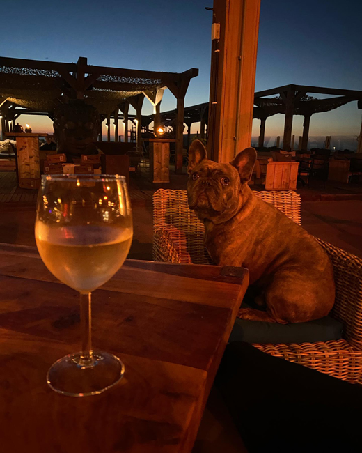 Geniet van een glas wijn en gezelschap bij Strandpaviljoen FF Tijd in Hoek van Holland