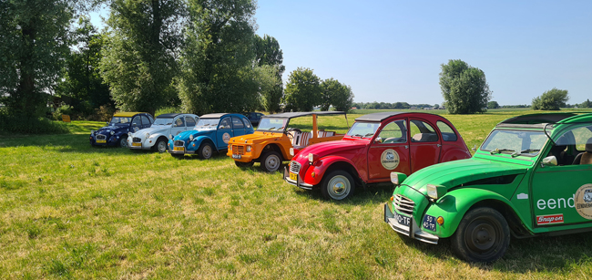Reeks van kleurrijke Citroën 2CV auto's opgesteld op een zonnige dag in een groen veld