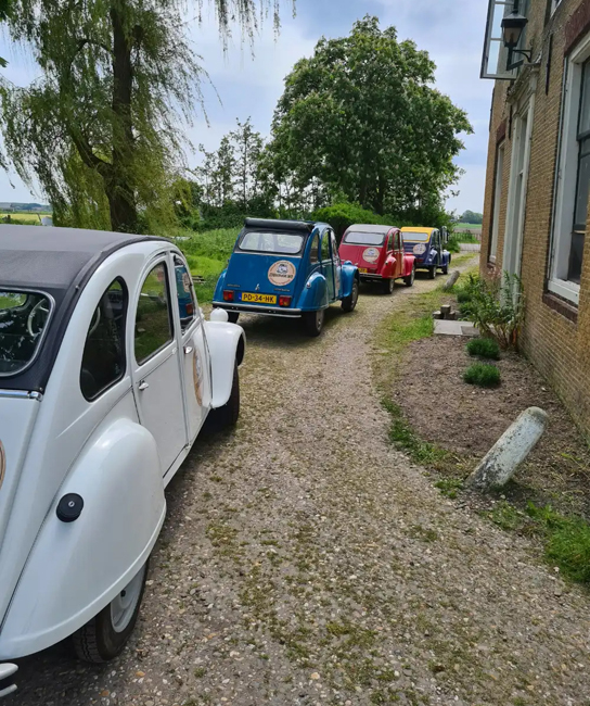 Rij van kleurrijke Citroën 2CV auto's naast een boerderij op een grindpad