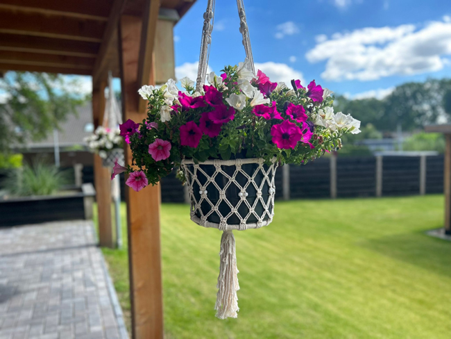 Hangende bloemen B&B Hartje Exloo