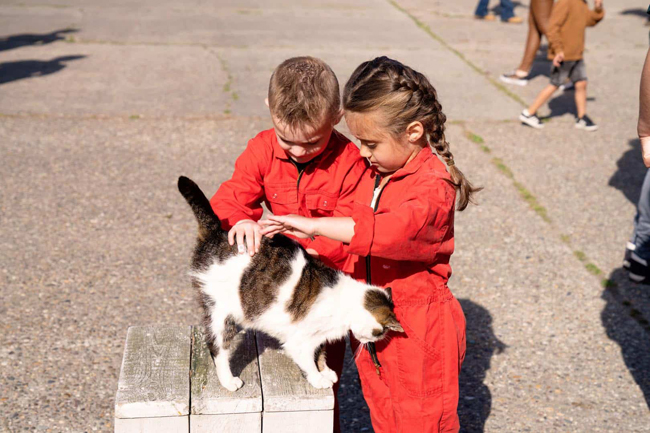 Kinderen aaien een poes op de boerderij bij FarmCamps Five Star