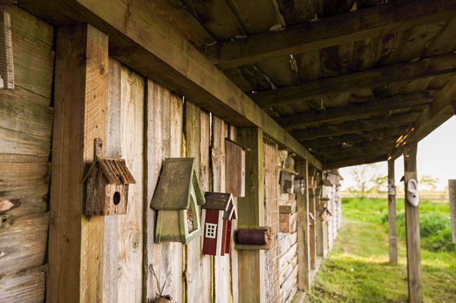 Vogelhuisjes bij Five Star Farm