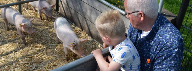 kinderen bekijken biggetjes speel en beleefboerderij de roosendaal