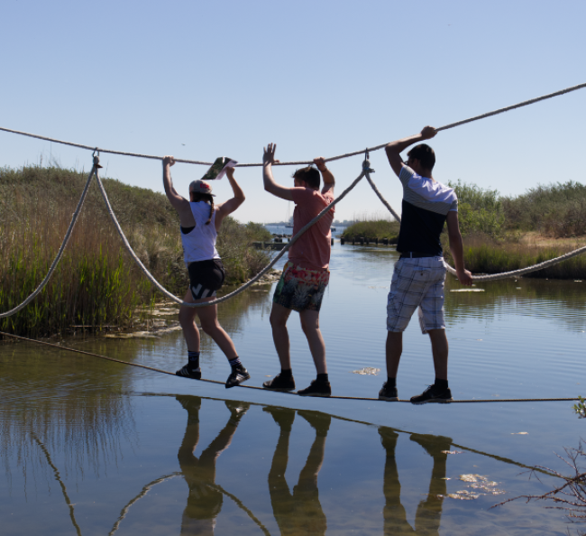 Survivallen touwbrug Zeeland Buitenland